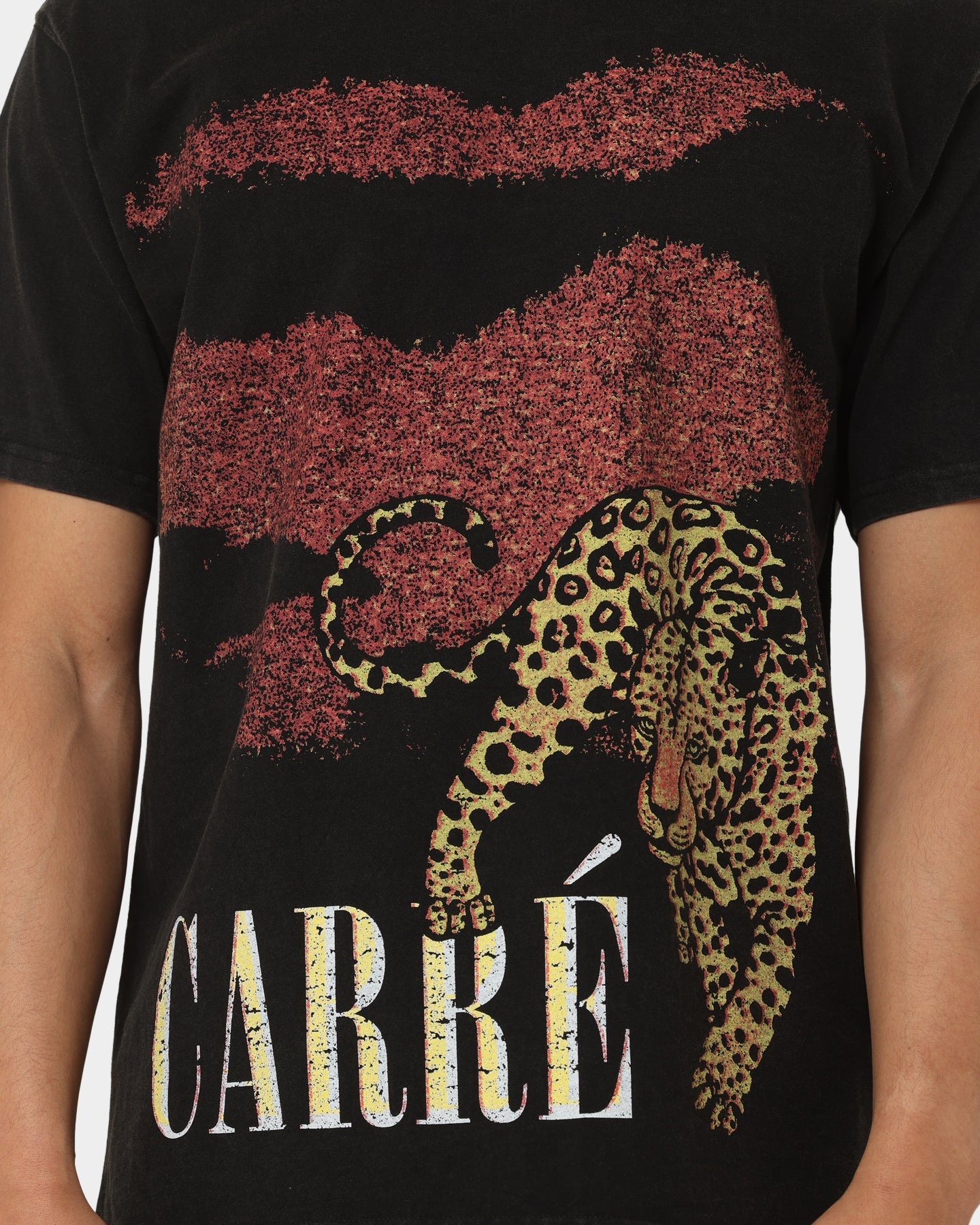 Carré Leo Vintage T-Shirt Washed Black