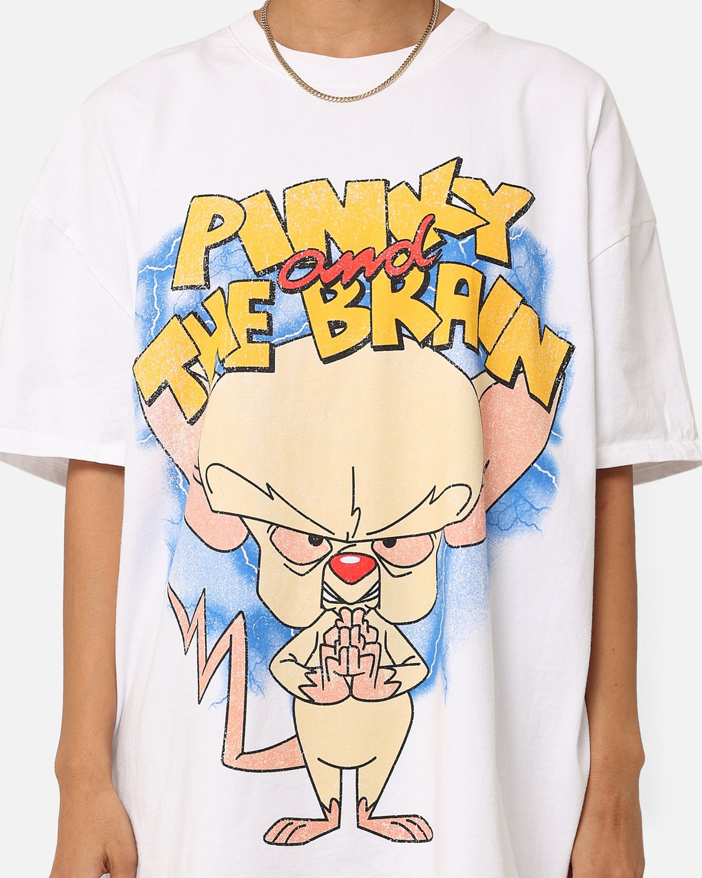 American Thrift X Cartoon Network Pinky & The Brain Heavyweight Vintage T-Shirt White