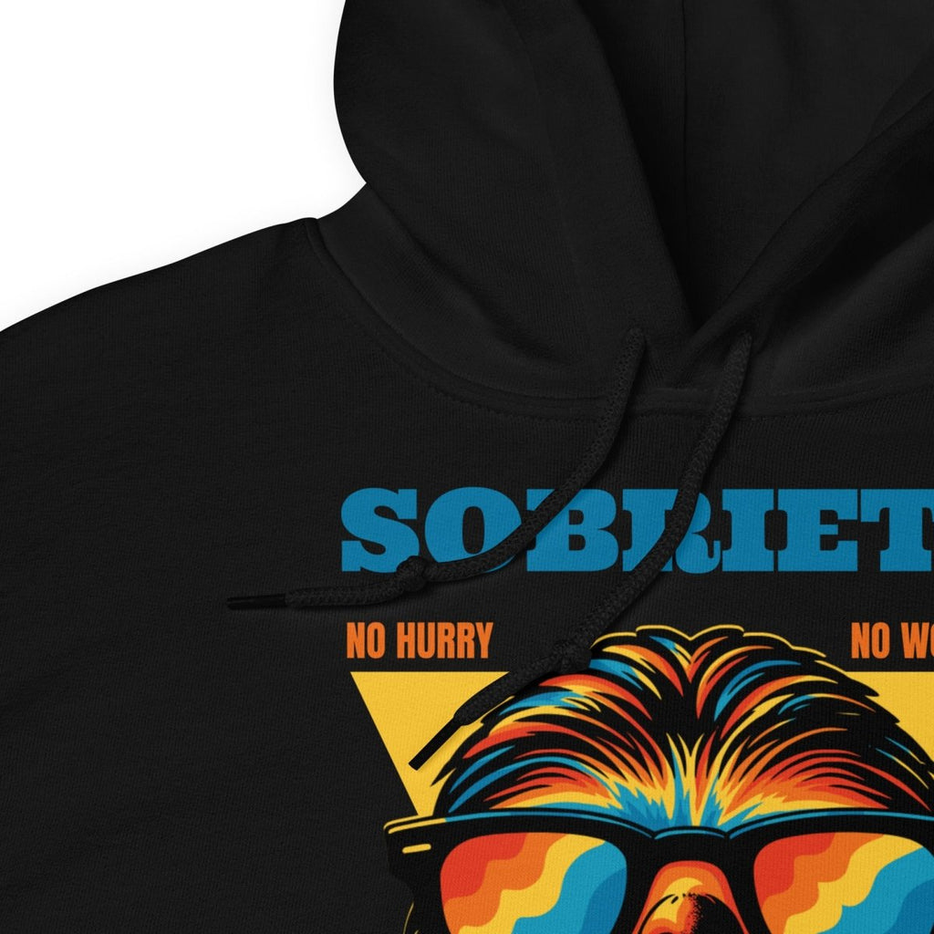 No Hurry No Worries Sloth Unisex Hoodie - Chill Sobriety Statement Sweatshirt