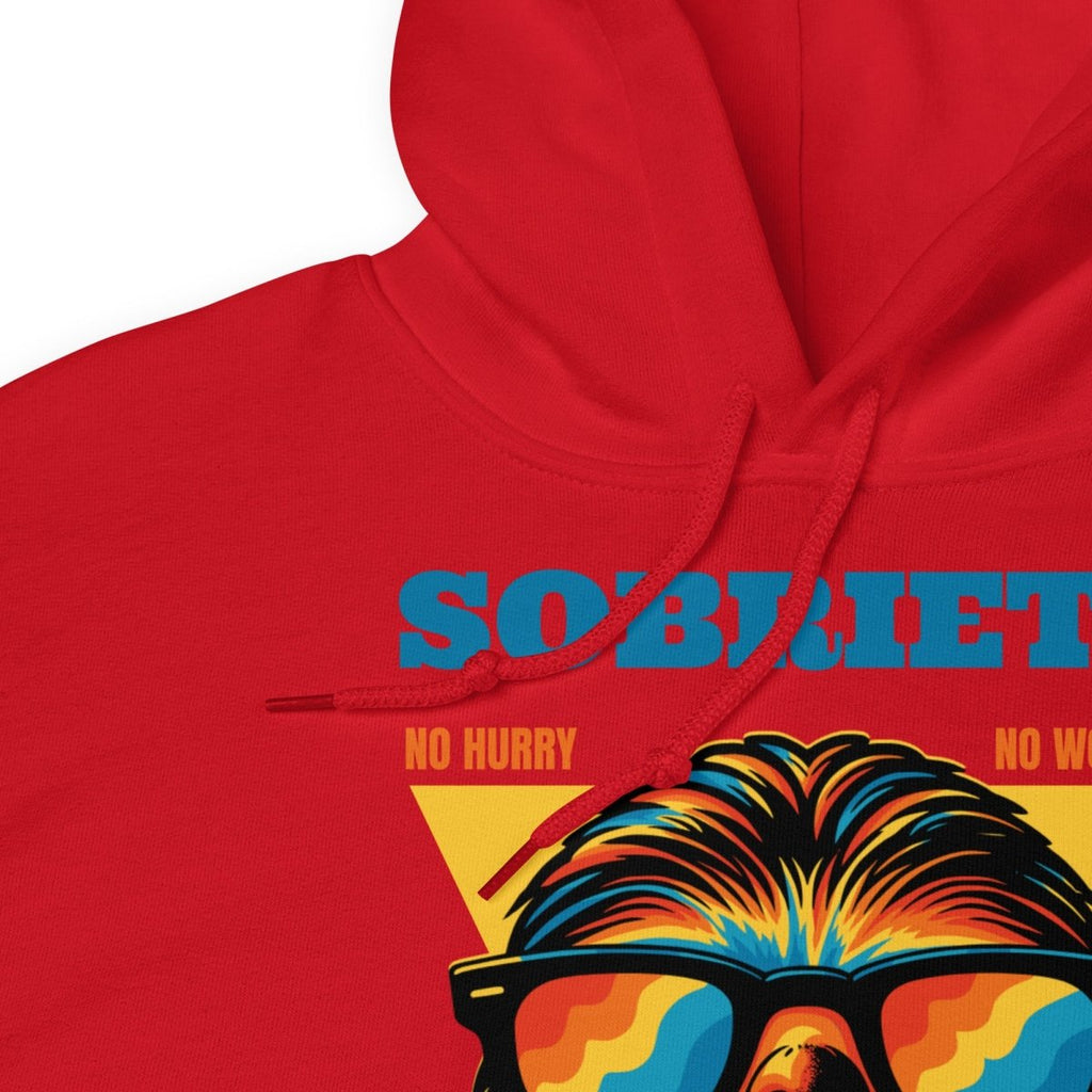 No Hurry No Worries Sloth Unisex Hoodie - Chill Sobriety Statement Sweatshirt