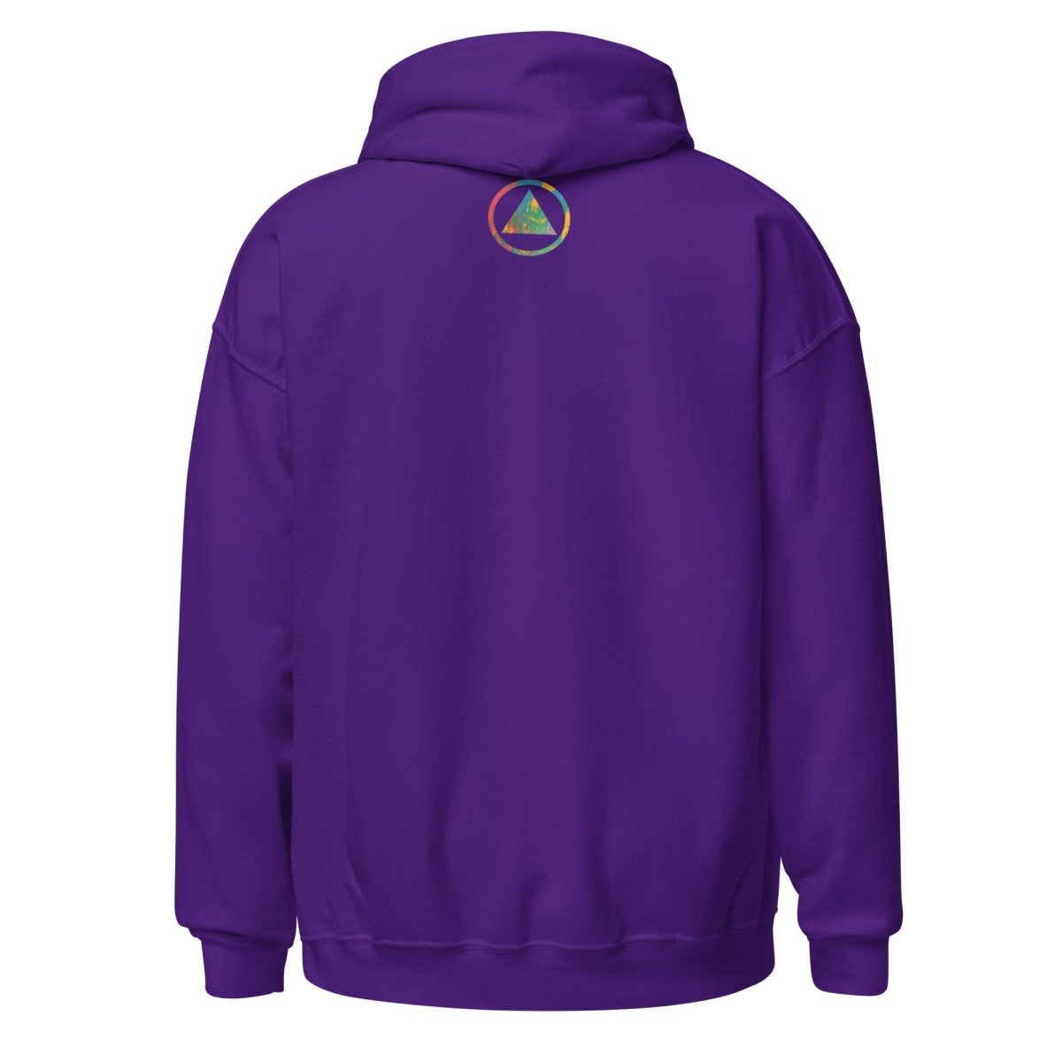 Just For Today Unisex Hoodie – Colorful Reminder to TRY